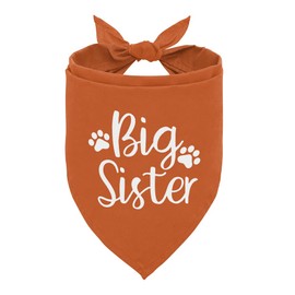 Big Sister Dog Pregnancy Announcement Shirt, Dog Bandana Gift, Triangle Bibs Accessories