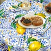 bnhjsdw Blue Outdoor Tablecloth with Umbrella Hole for Round Table,