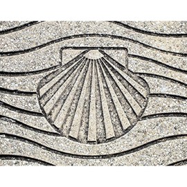 CafePress El Camino Shell, Pavement, Spai Year Ornament