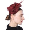 Biruil Fascinators Hat for Women Girls Sinamay Flower Feathers Tea