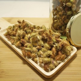 Chamdoori Changja 300g (domestic) Dokkomari / 참두리 창이자 300g (국내산) 도꼬마리