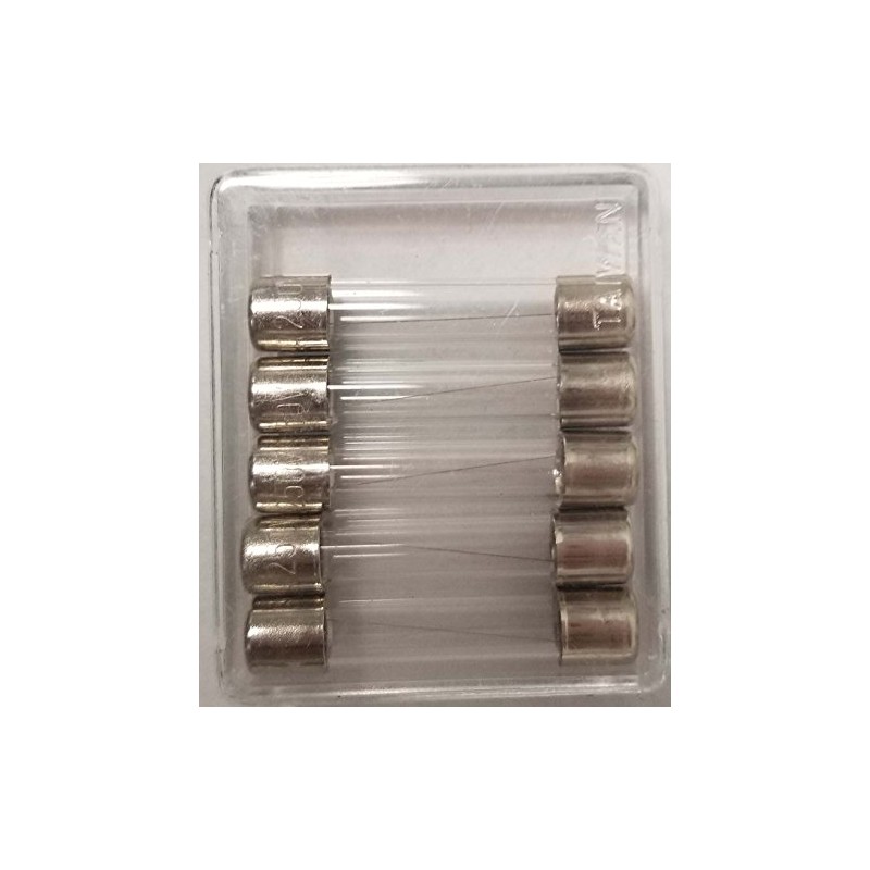 5 PACK 2AMP FUSE