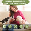 Seizure and Epilepsy Supplement, Nervous System Supplements for Dogs and