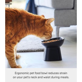 Yamazaki Home Tower Elevated Ceramic Pet Food Bowl - Angled, Non-Slip, Microwave & Dishwasher Safe - 6.7Oz (Black)