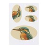 4 x 'Kingfisher Portrait' Temporary Tattoos - Water Resistant, Skin-Safe,