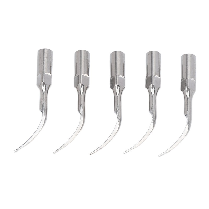 5pcs P1 Dental Clean Machine Tip Stainless Steel Heat Resistance