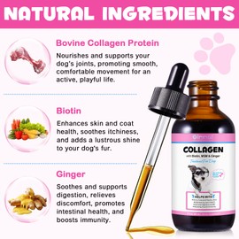 Collagen for Dogs, Dog Collagen Liquid Drops, Dog Collagen with Biotin, MSM & Ginger Digestive & Immunity Support, Itch Relief, Skin & Coat and Joint Health, Dog Collagen Supplement 60ml-2pcs