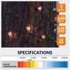 Newhouse Lighting G40LED25 25 Pack LED Clear Globe Outdoor String