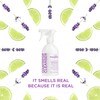 Sapadilla Multi-Surface Countertop Spray - Sweet Lavender + Lime -