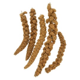 Brown's Baby Bird All Natural Food Spray Millet 16 Oz - Free Shipping