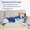 pangdi Recovery Suit for Dogs After Surgery, Spay Suit Female