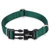 Hyhug Design Classic Basic Nylon Dog Collar, Can Install Dog