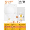CRLight 6W Dimmable Edison E26 LED Globe Bulb G16.5 2700K,