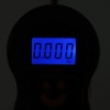 Electric Digital Fish Scale Portable Weight Scale Data Lock Function