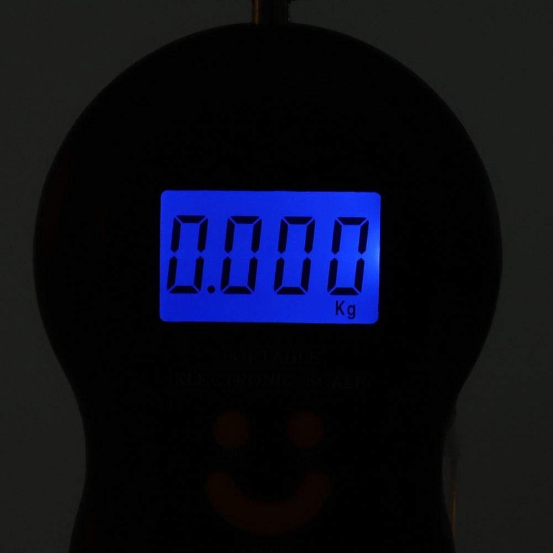 Electric Digital Fish Scale Portable Weight Scale Data Lock Function