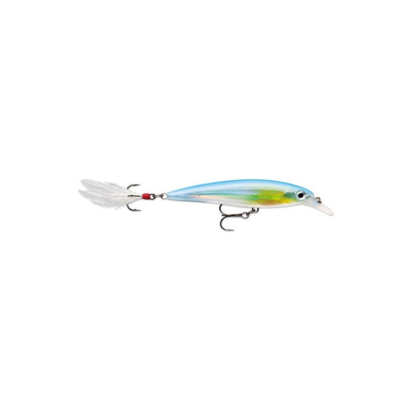 Rapala XR10 X-Rap Lure, Silck