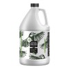 Best Natural Cleaning Product - TweetMint Enzyme Cleaner (64 oz.)