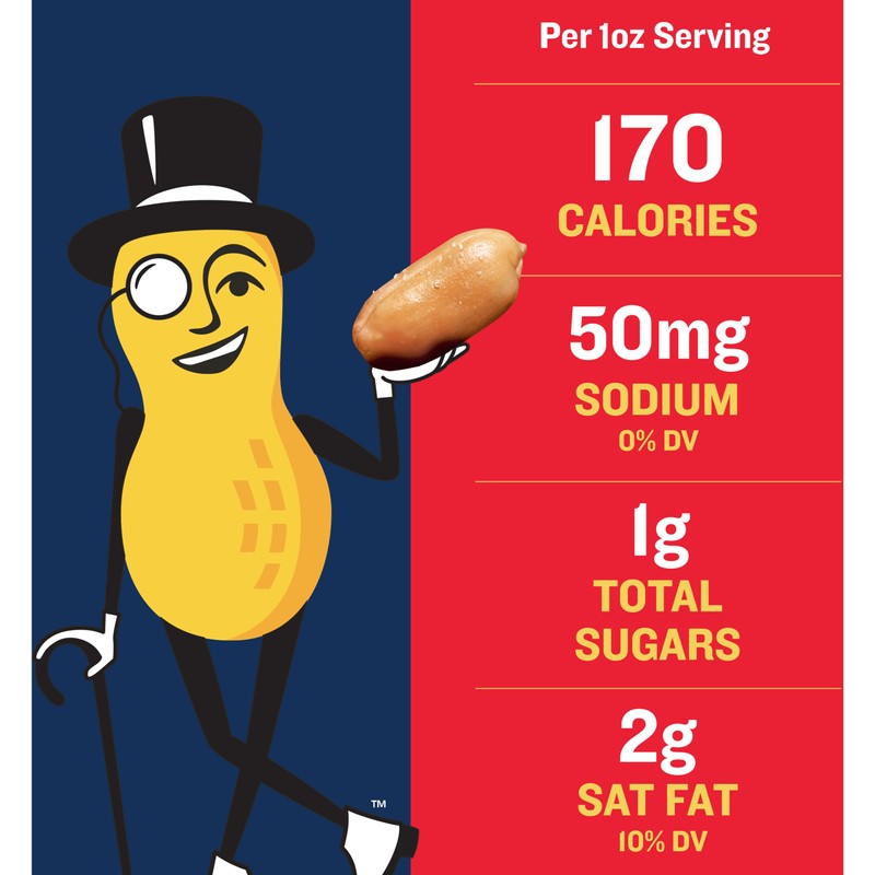 PLANTERS Dry Roasted Peanuts, Plant-Based Protein, Lightly Salted, Peanut Snack,