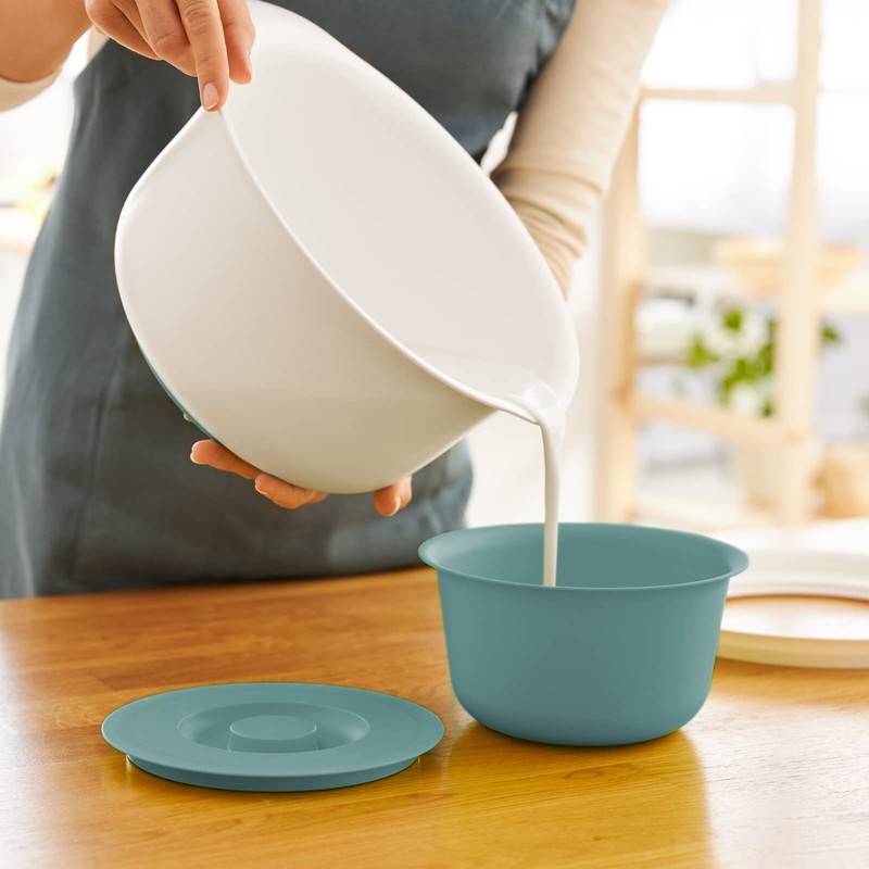 Rotho Fresh 1043305092 Set of 2 Bowls 1.2 L +