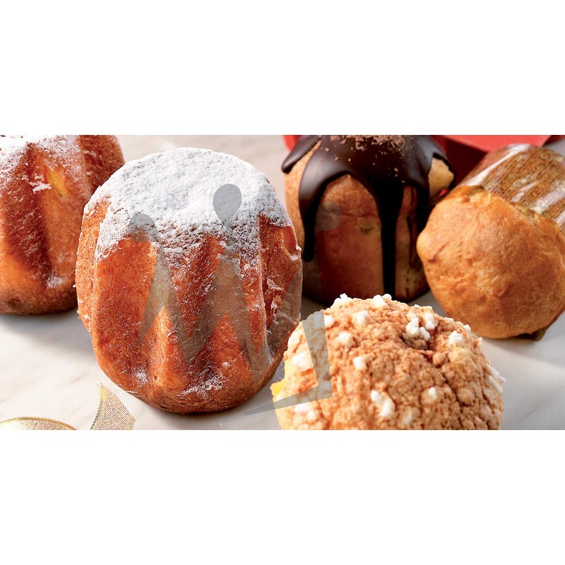 Silikomart Professional Pandoro Silicone Baking Mold