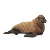 CollectA Walrus Calf
