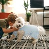 IECOii Dog Wound Care Shirt, Leg Sleeves to Stop Licking