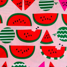 Cotton Fabric Squares 5x5 Charm Packs for Quilting 5 inch for Baby Sewing Patchwork 42pcs (Fruit Fabric)