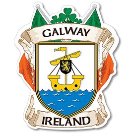 MADI County Galway Ireland 5 in Sticker Irish Decal for Car Bumper Truck Window Laptop Auto US
