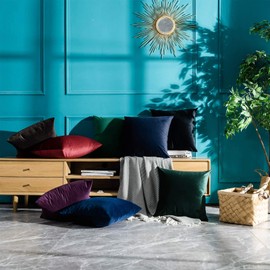 JUSPURBET Decorative Velvet Throw Pillows Covers for Couch Bed Sofa,Pack of 2 Soild Soft Cushion Cases,16x24 Inches,Black