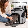 Expandable Pet Carrier Backpack for Cats & Small Dogs –