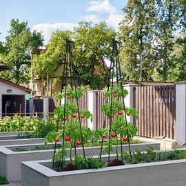 FOLLOOK Cucumber Trellis, 67" Tall Obelisk Garden Trellis for Climbing Plants Outdoor Plastic-Coated Metal Support for Flower Vine Vegetable Tomato Cage Cucumebr Trellis Raised Bed, Black, 2 Pack