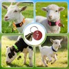 12 Pack Adjustable Goat Collars with Bells Numbered Tags