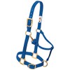 Weaver Leather Nylon Adjustable Draft Horse Halter, 1", Large, Blue