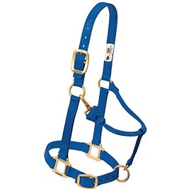 Weaver Leather Nylon Adjustable Draft Horse Halter, 1", Large, Blue
