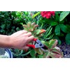 Corona Tools Yard Essentials Pocket Pruner
