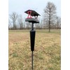 JCs Wildlife Red and Gray Large Fly Thru Bird Feeder