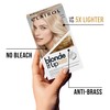 Clairol Blonde It Up Permanent Hair Dye, Platinum Blonde Hair