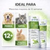 Medical Solution Gel Cicatrizante de Kiwi para Perros, gatos y