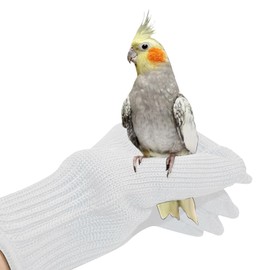 NCONCO 1 Pair Anti Bite Gloves for Parrot Bird Training Gloves Small Animal Gloves Wire Gloves and Steel Wire Protective Gloves Chewing (White)