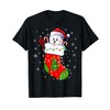Funny Havanese Dog In Christmas Socks Lights Xmas T-Shirt