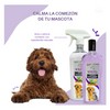 Spray Y Shampoo Alivio Comezón Para Mascota - Perros/gatos
