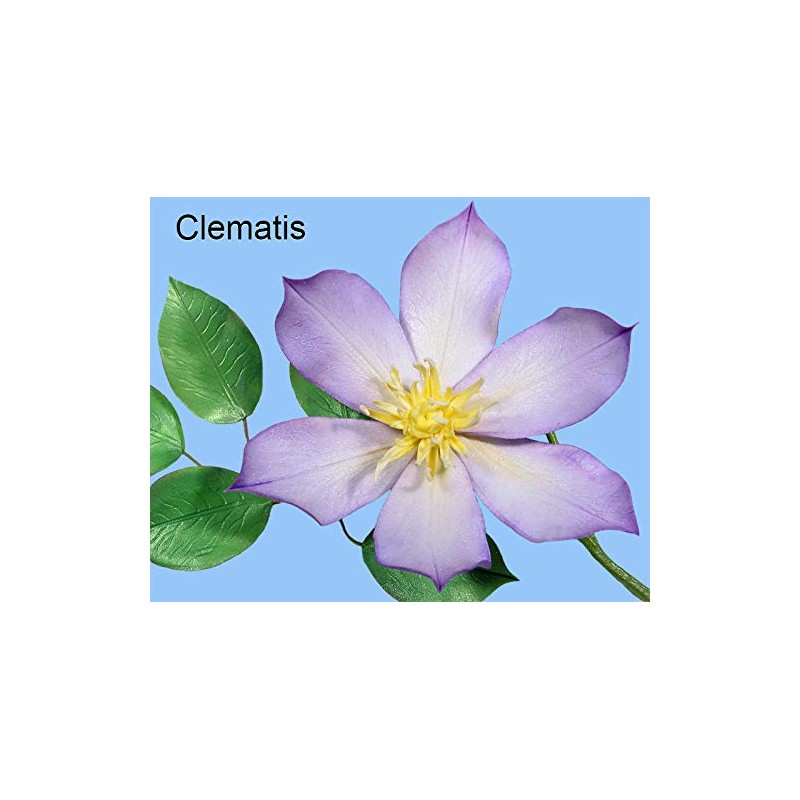 WSA Clematis Cookie Cutters, 2 Sizes