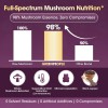 Green People Mushroom Complex w/Ashwagandha, Lions Mane, Support Immune,Energy &