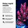 Brightwell Aquatics Polyp Ignite - Polyp Stimulator to Trigger Feeding