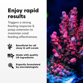 Brightwell Aquatics Polyp Ignite - Polyp Stimulator to Trigger Feeding Response - Polyp Extension for Easier Feeding - Aquarium Water Treatments, 60 ml