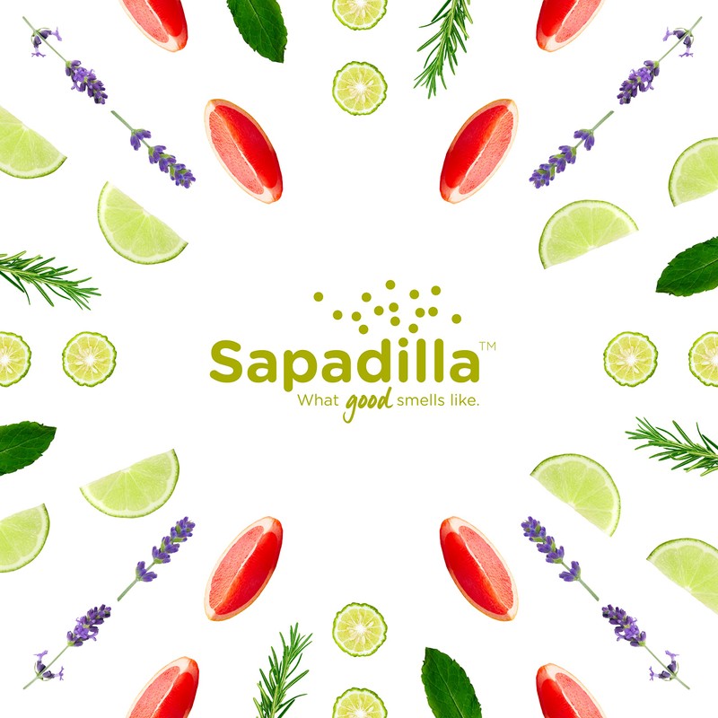 Sapadilla HS Handseife: 12 ounces (Grapefruit + Bergamotte)