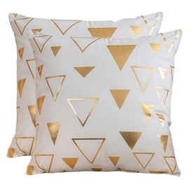 Cushion Covers Cushions for Sofa Modern Decorative Square Luxury Pillowcases for Couch Living Room Sofa Bed with Invisible Zipper 45cm x 45cm 18x18 Inches 2 Pieces 523-0513