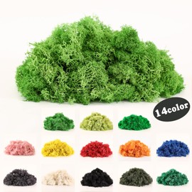 Dallisten Moss Preserved, Craft Reindeer Green Decorative Moss for Enchanted Forest Decorations, Fairy Garden, Party, Art Wall, Indoor Potted Plants,Table, Terrariums, Bonsai Decor (1Green,3.6OZ)