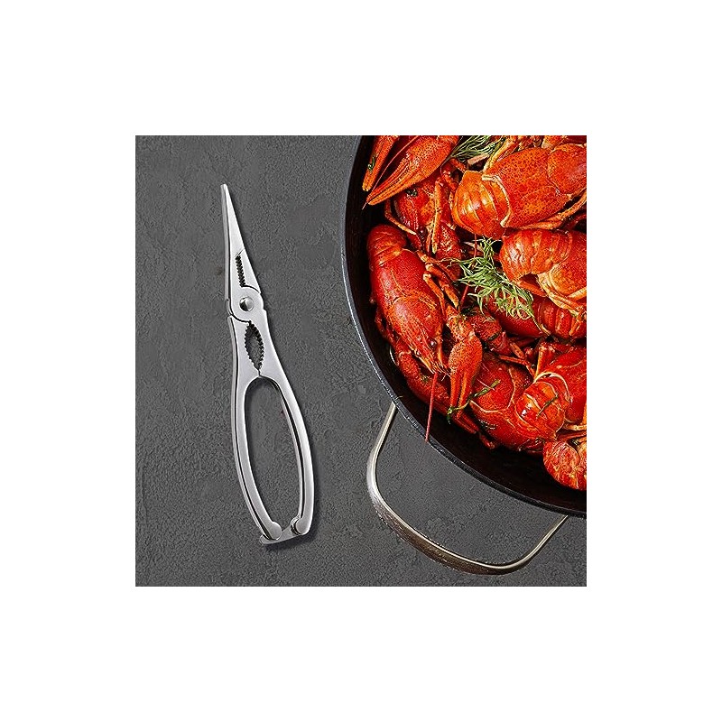 Comas Accesorios Lobster Cracker 18/10, 19 cm, Silver