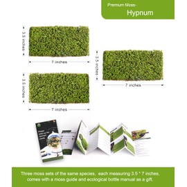 Live Moss – Hypnum Moss (3 Sheets, Each Approx. 3.5"x7") for Terrariums, Fairy Gardens, Bonsai & Natural Plant Decor – Naturally Grown, Reusable, Not Artificial